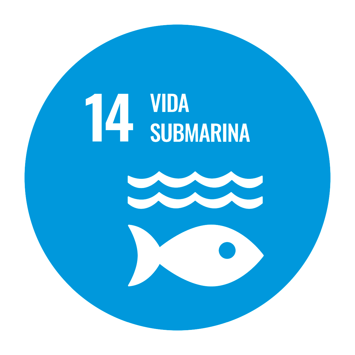 Vida submarina