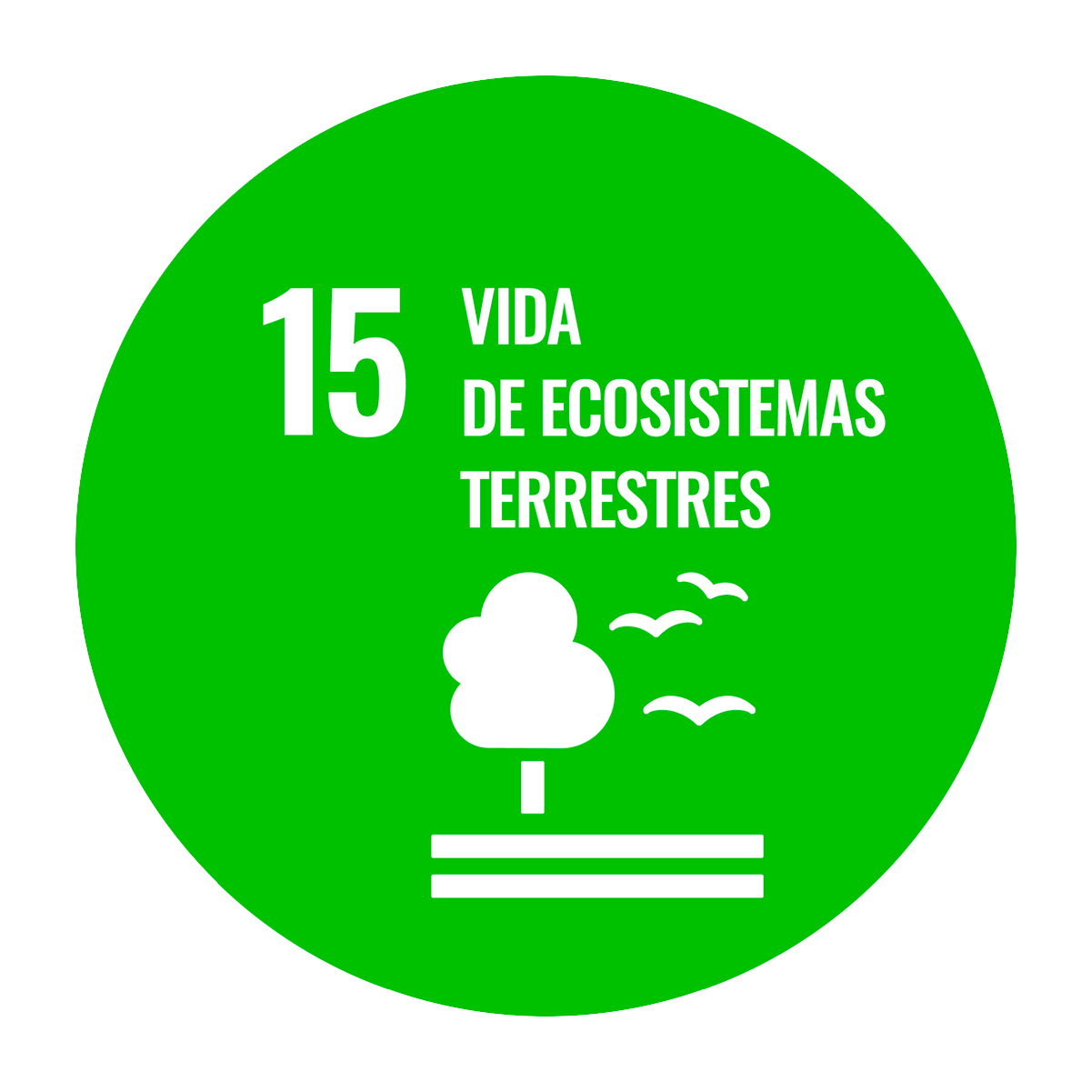 Vida de ecosistemas terrestres