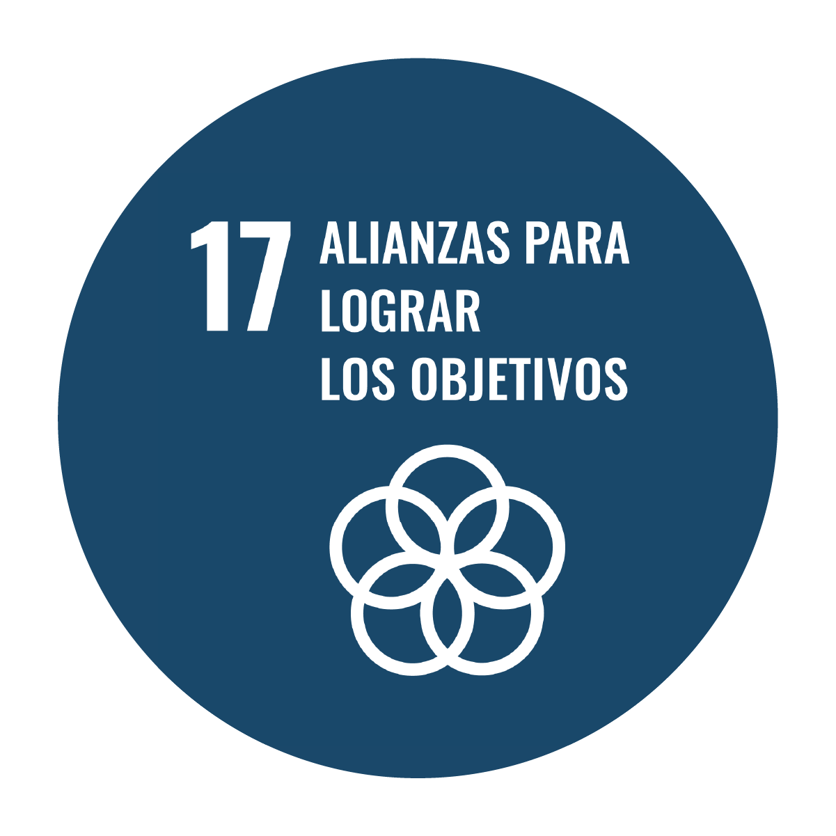 Alianzas para lograr los objetivos