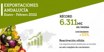 Imagen destacada de la noticia