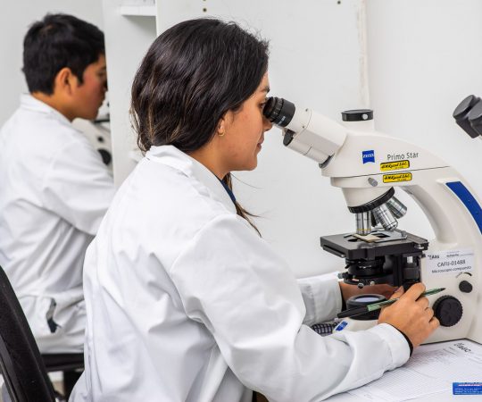 imagen destacada del socio