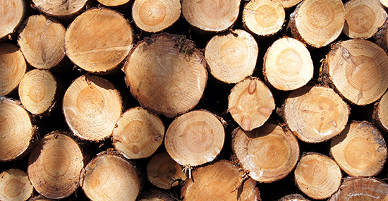 imagen destacada del socio