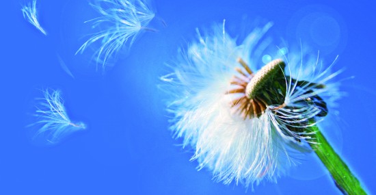 imagen destacada del socio