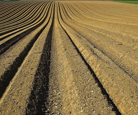 imagen destacada del socio