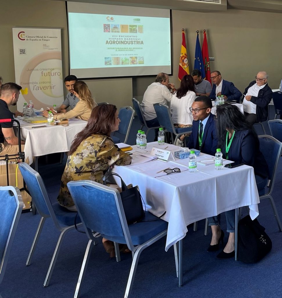 Imagen de la noticia La agroindustria andaluza potencia su negocio internacional ante agentes de Marruecos, mercado estratégico para el sector