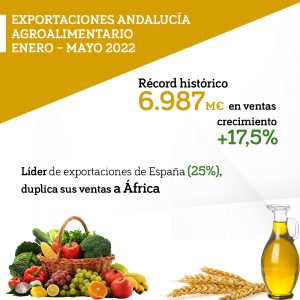Imagen destacada de la noticia