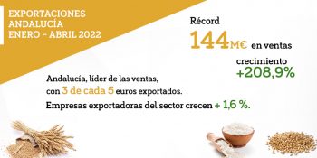 Imagen destacada de la noticia