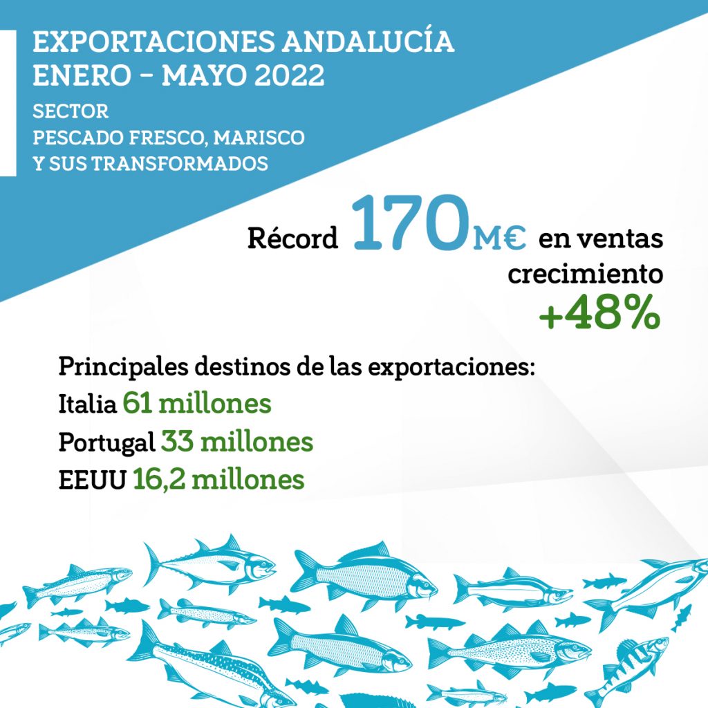 Imagen de la noticia Récord de exportaciones andaluzas de pescados y mariscos: alcanzan los 170 millones tras crecer un 48% en los primeros cinco meses del año