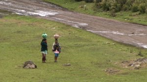 Imagen del post UE – Intercambio de experiencias entre productores andaluces y guatemaltecos