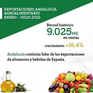 Imagen destacada de la noticia