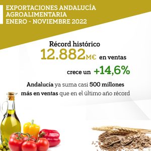 Imagen destacada de la noticia