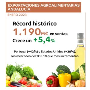 Imagen destacada de la noticia