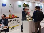 ife london
