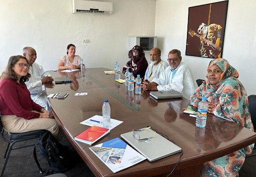 Imagen del post BM- Asistencia técnica para grupos de mujeres en las cadenas de valor de henna y dátiles del desierto de Mauritania