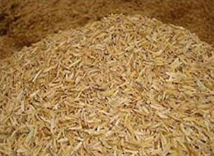 Imagen del post ONUDI – Estudio de pre-factibilidad para plantas de calor y electricidad basadas en Biomasa (CHP) de al menos 350 KW en los molinos de arroz de la República Dominicana