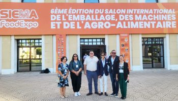 Imagen destacada de la noticia