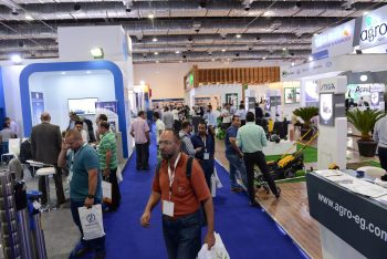 Imagen destacada de la noticia