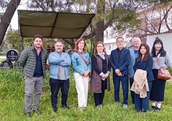 Imagen destacada de la noticia