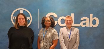 Imagen destacada de la noticia