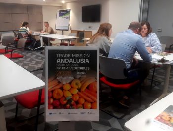 Imagen destacada de la noticia