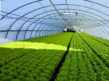 Imagen destacada de la noticia