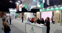 NISE Sevilla 2 2025