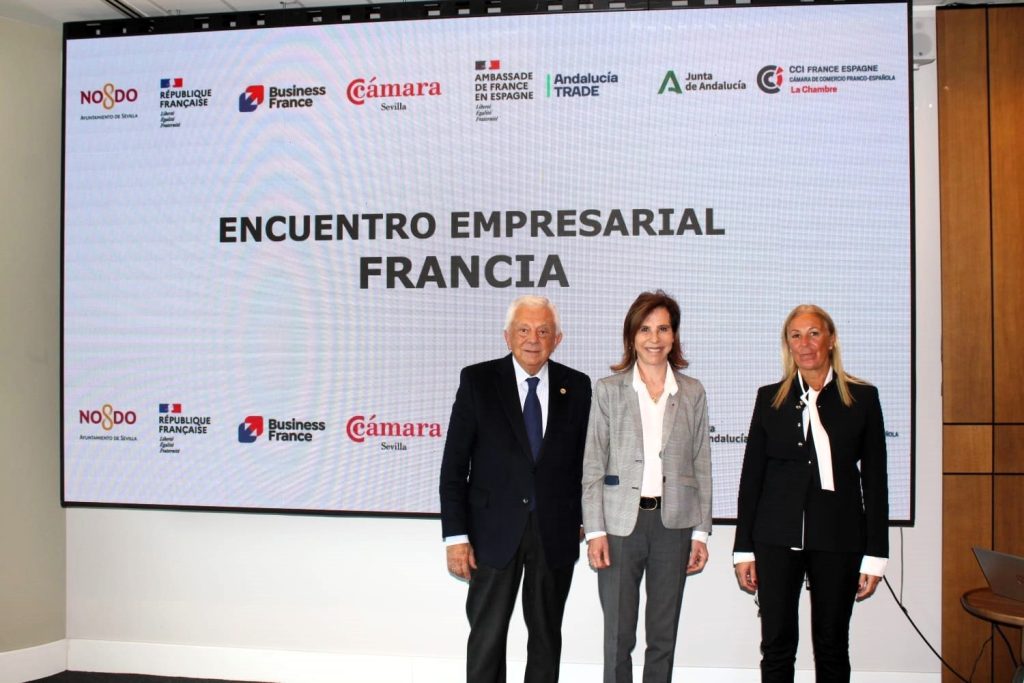 Imagen de la noticia Andalucía TRADE refuerza la cooperación empresarial con Francia en un encuentro con compañías e instituciones de ambos países